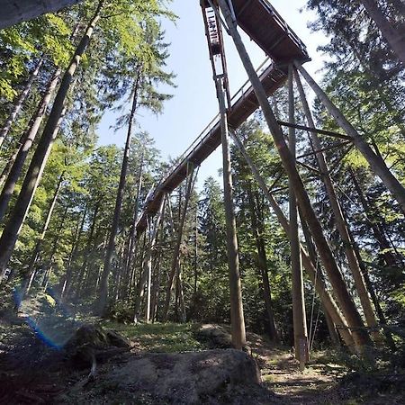 Cozy I Blockhuette Im Nationalpark I Ferienwohnung Neureichenau Exteriér fotografie