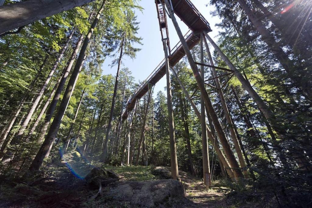 Cozy I Blockhuette Im Nationalpark I Ferienwohnung Neureichenau Exteriér fotografie