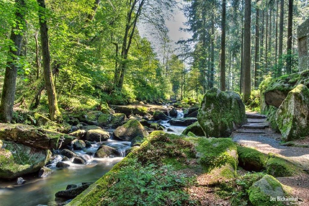 Cozy I Blockhuette Im Nationalpark I Ferienwohnung Neureichenau Exteriér fotografie
