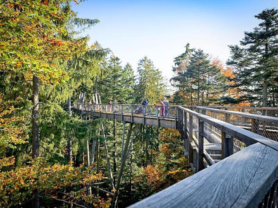 Cozy I Blockhuette Im Nationalpark I Ferienwohnung Neureichenau Exteriér fotografie