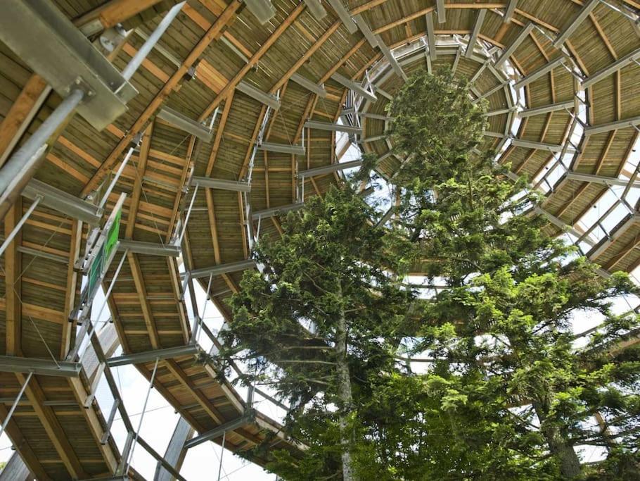 Cozy I Blockhuette Im Nationalpark I Ferienwohnung Neureichenau Exteriér fotografie