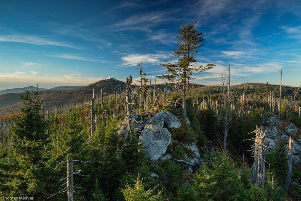 Cozy I Blockhuette Im Nationalpark I Ferienwohnung Neureichenau Exteriér fotografie